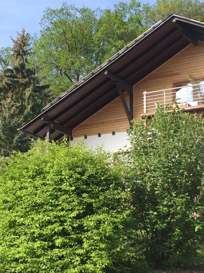 gemütliches Apartment mit Pool bei Jena Kahla  Exterior foto